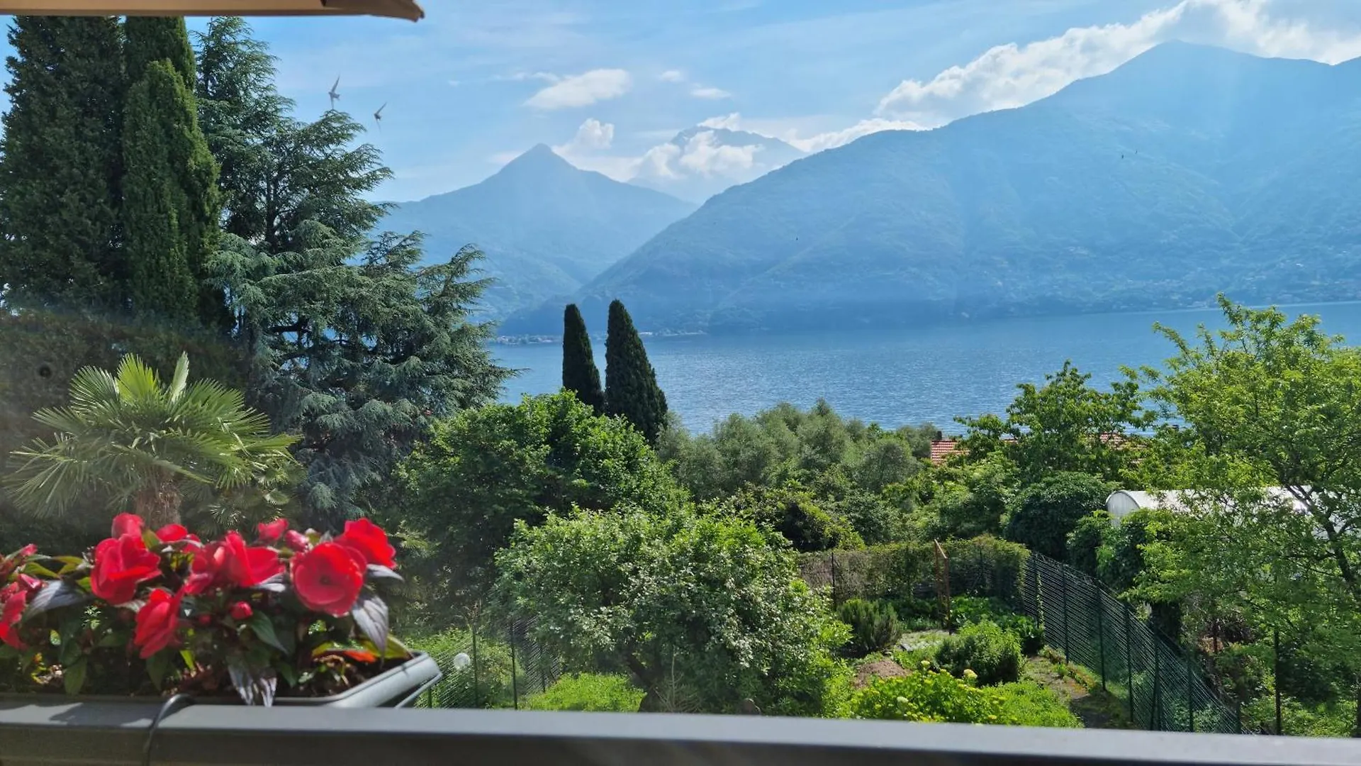 Apartment Lakeview Casa Camelia 21 Acquaseria Italy