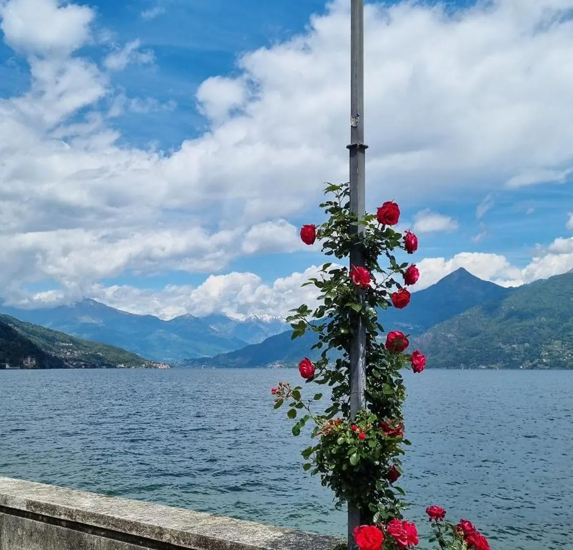 Lakeview Casa Camelia 21 Acquaseria 0*,  Italy